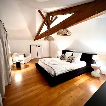 Maison De Caractere Type Loft *